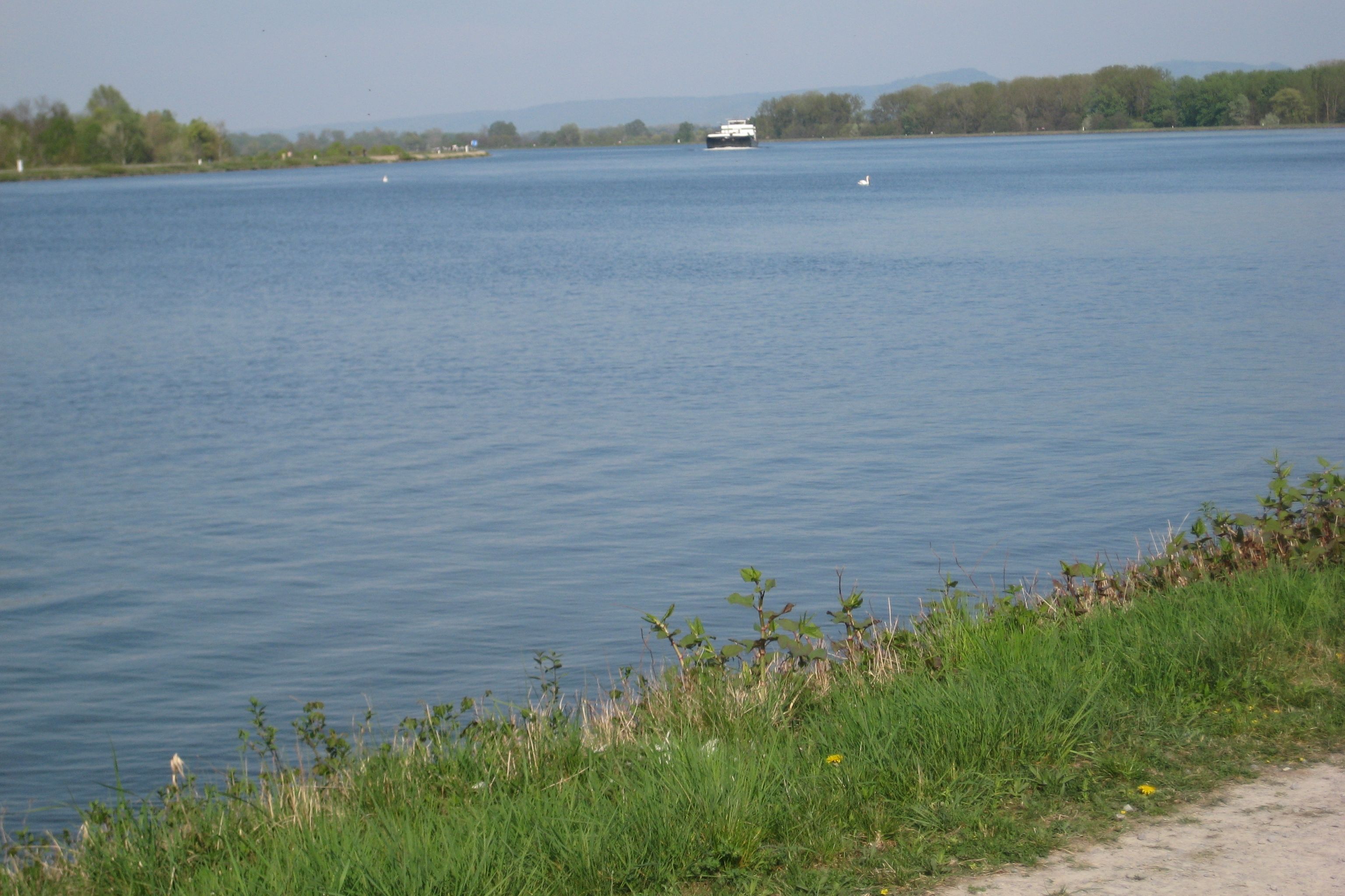 Blick auf den Rhein