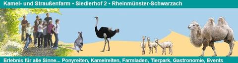 Kamel- und Straußenfarm